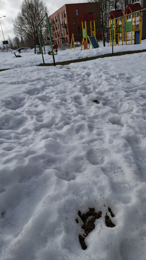 Pavasario inventorizacija: miesto &bdquo;lobiai&ldquo;