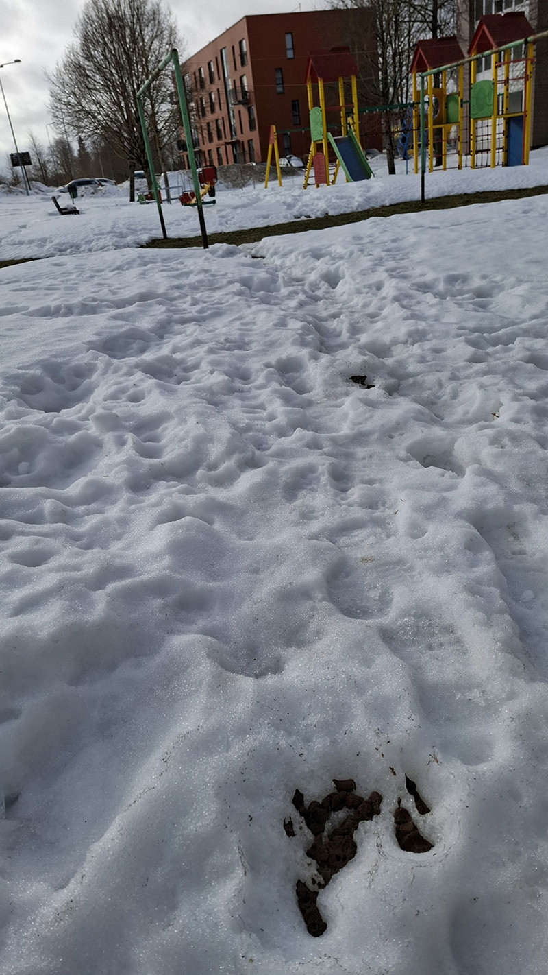 Pavasario inventorizacija: miesto &bdquo;lobiai&ldquo;