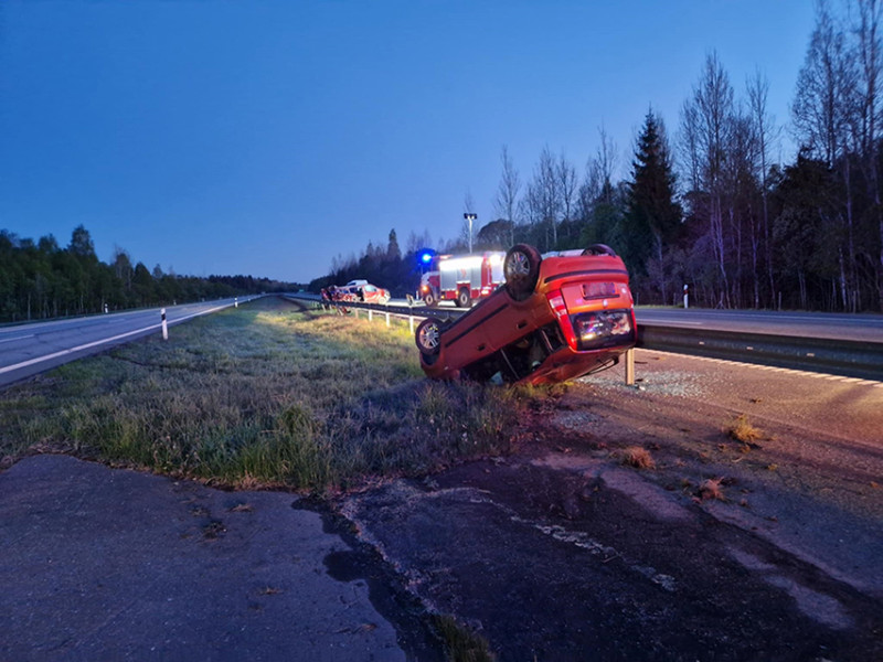 Didžiulė avarija, į kelią išbėgus gyvūnui