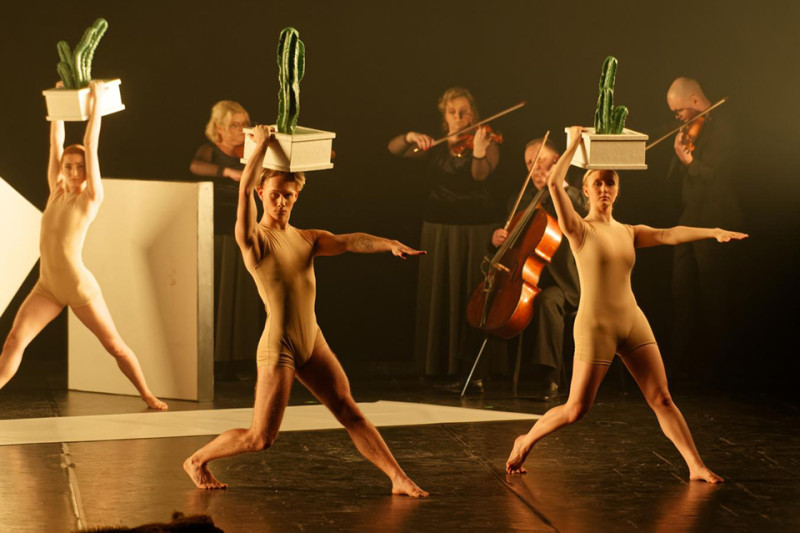 Alexanderio Ekmano (Švedija) „Cacti“ (Kaktusai)