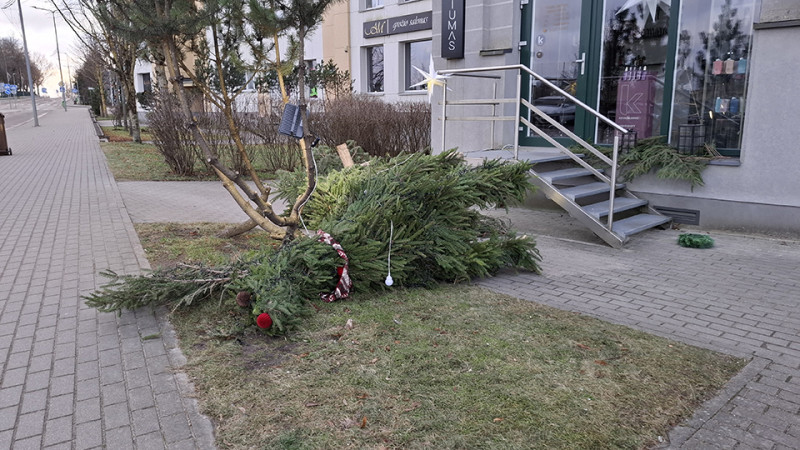 Vėjas siautėjo, bet žala &ndash; minimali