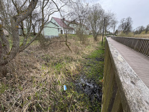 Miesto šeimininkams netvarka akių nebado