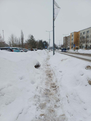 Sniego i&scaron;vežimą i&scaron; miesto stabdys &ndash; lauks pavasario