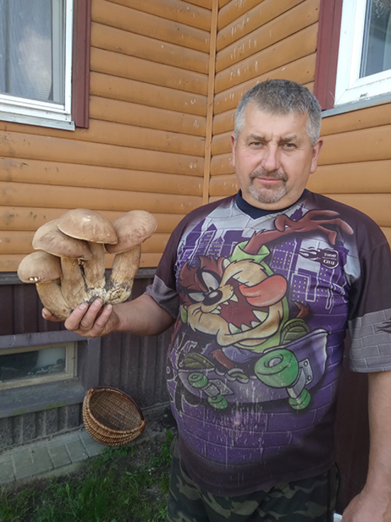 Baravykai – tarsi kareivėliai