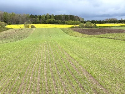 Seniūnijose – pasėlių deklaravimo įkarštis