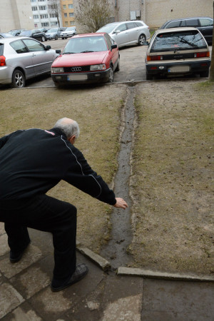 Pamir&scaron;tas kiemas