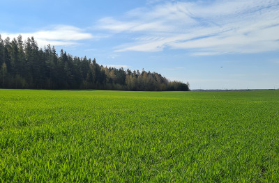 Apie pasėlių deklaravimo naujoves ūkininkai informuojami įvairiomis priemonėmis Nuotr. iš „Santarvės“ redakcijos archyvo