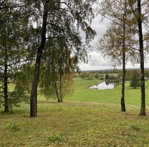 Gyvenimo pynė