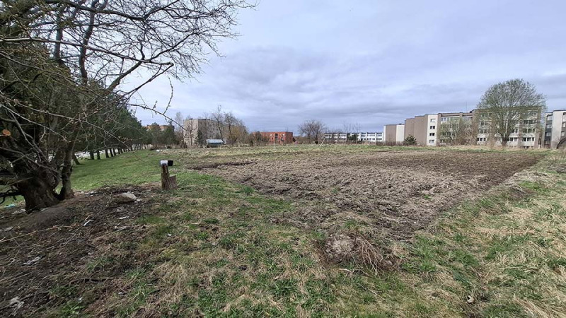 Ž. MILAŠĖS nuotr.